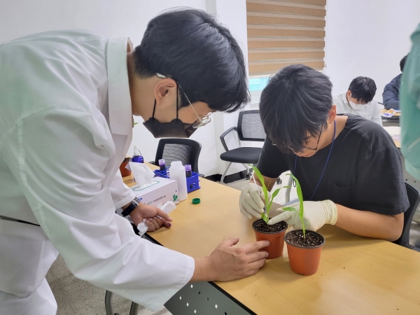 지난 9일, 강원도농업기술원 옥수수연구소를 찾은 홍천농업고등학교 학생들이 옥수수줄기썩음병 병원균을 관찰하고 있다. (사진 제공=강원도농업기술원)